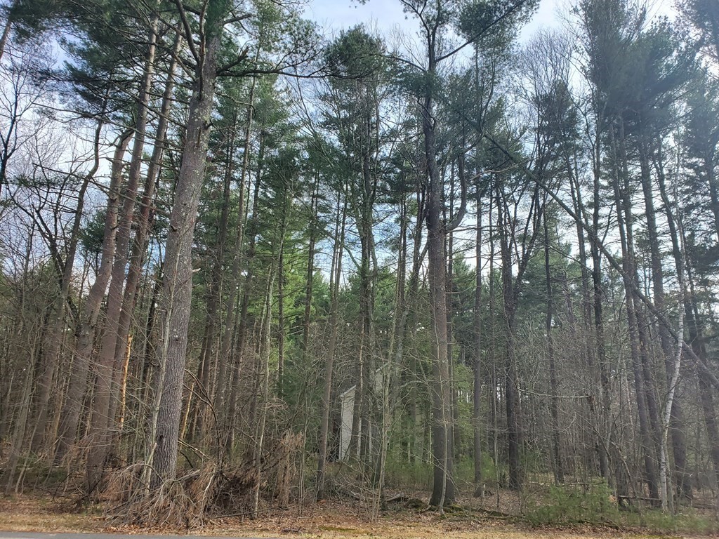 Lot 1 Westhampton Road Northampton, MA 01062 - Photo 2 of 2 Gallery Image 2