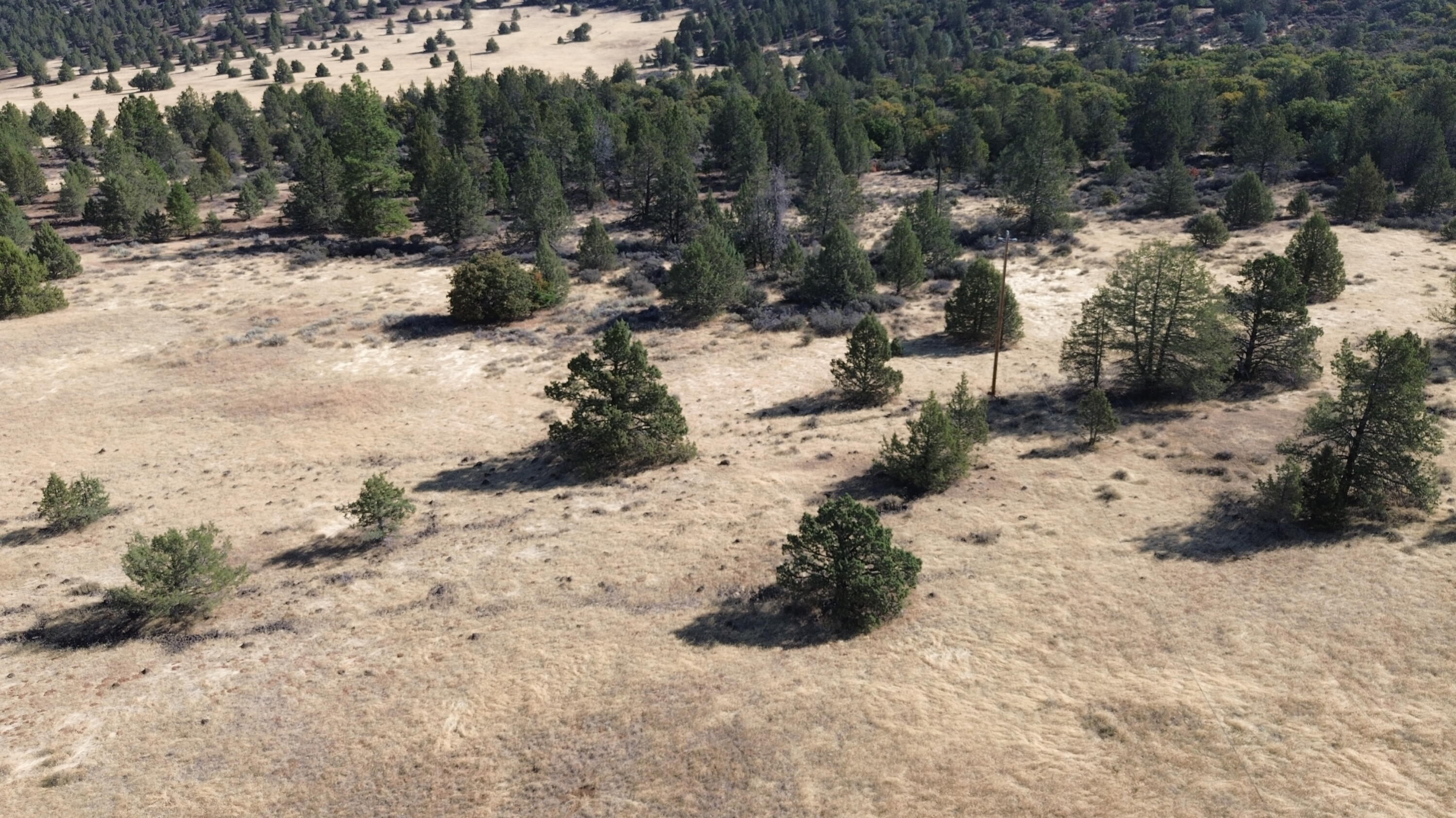 Nsa Old Hwy Road McArthur, CA 96056 - Photo 3 of 21 DJI_0392