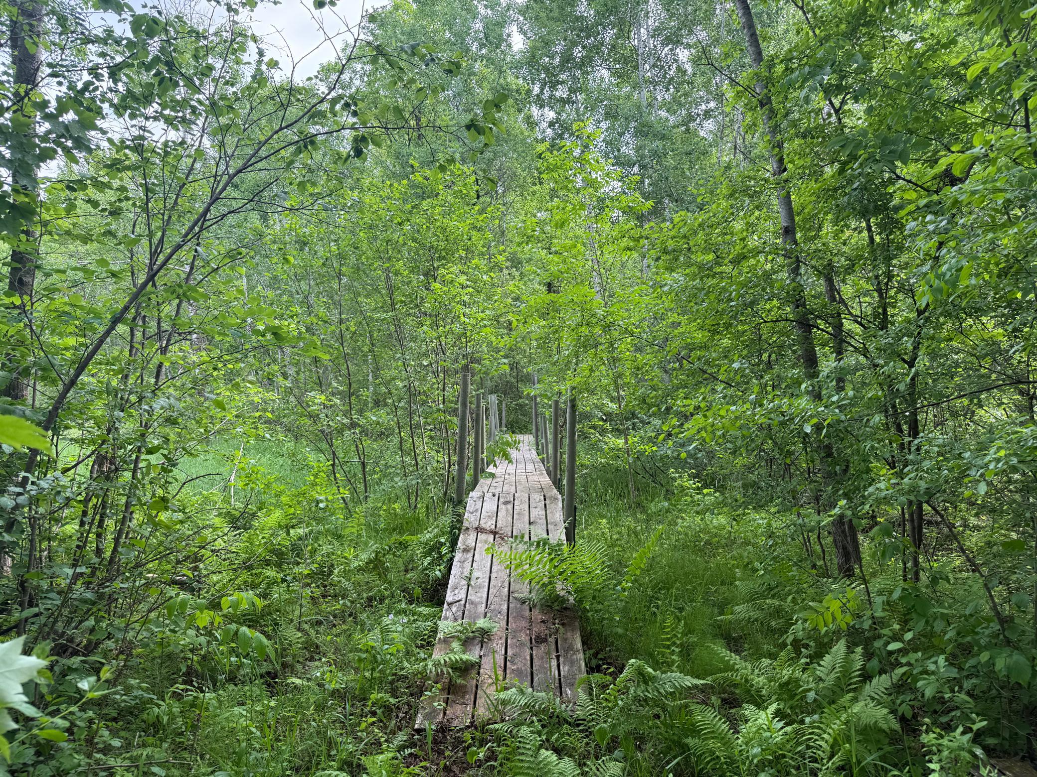 10551 Mallard Road Brook Park, MN 55007 - Photo 16 of 44