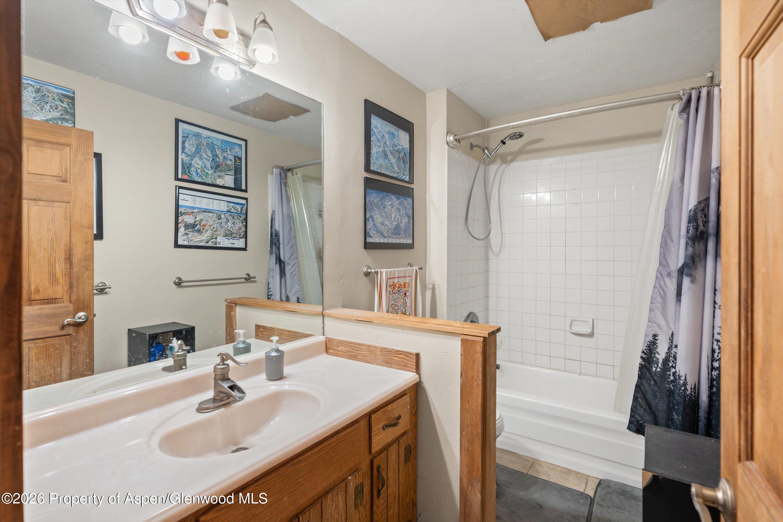 1603 Defiance Drive Carbondale, CO 81623 - Photo 11 of 26 20-1603DefianceDr_26011420