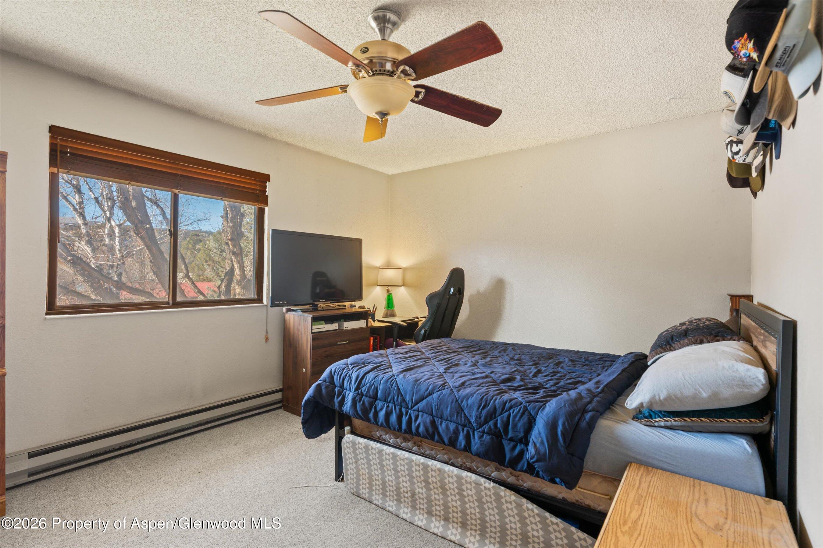 1603 Defiance Drive Carbondale, CO 81623 - Photo 12 of 26 19-1603DefianceDr_26011419