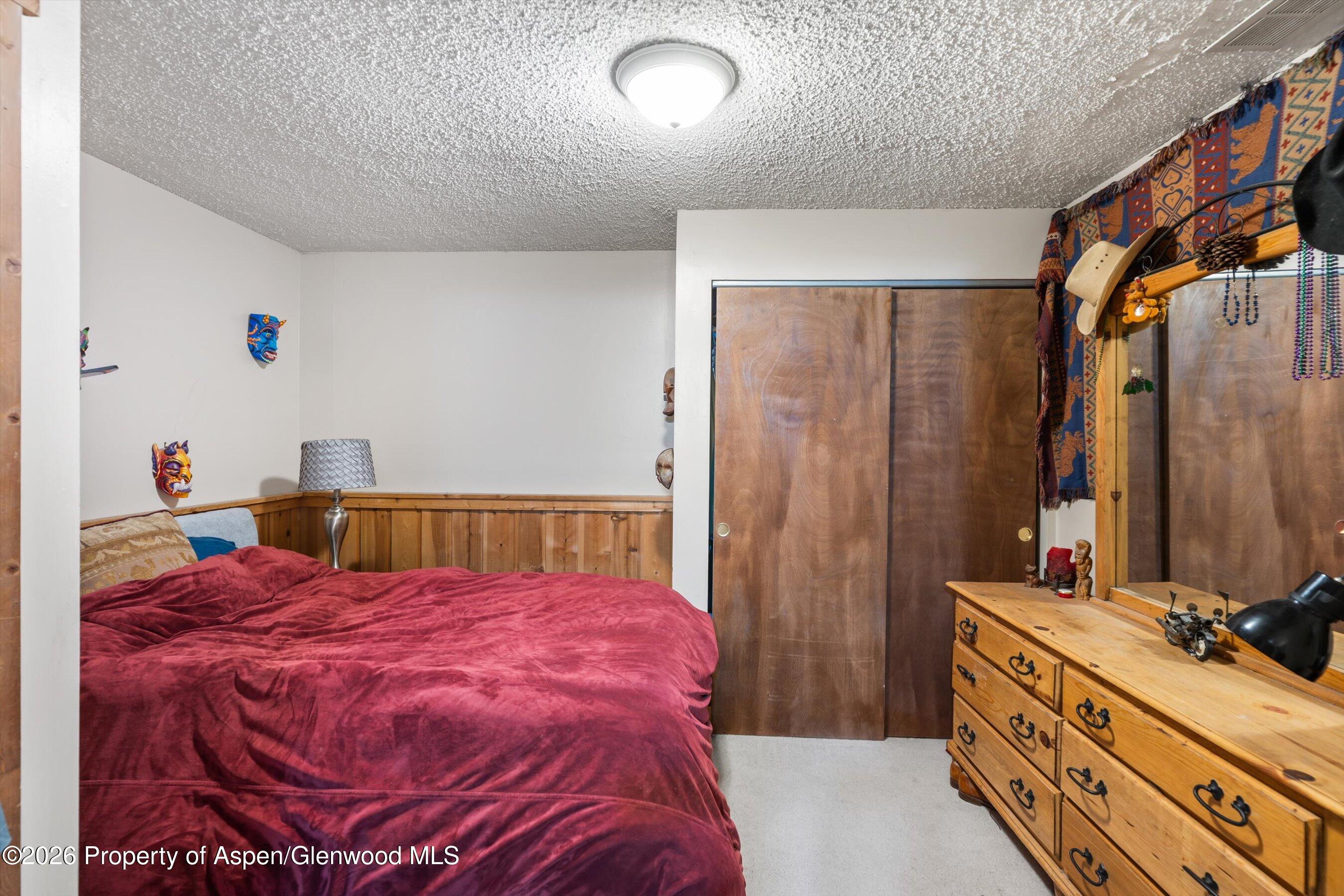 1603 Defiance Drive Carbondale, CO 81623 - Photo 13 of 26 21-1603DefianceDr_26011421