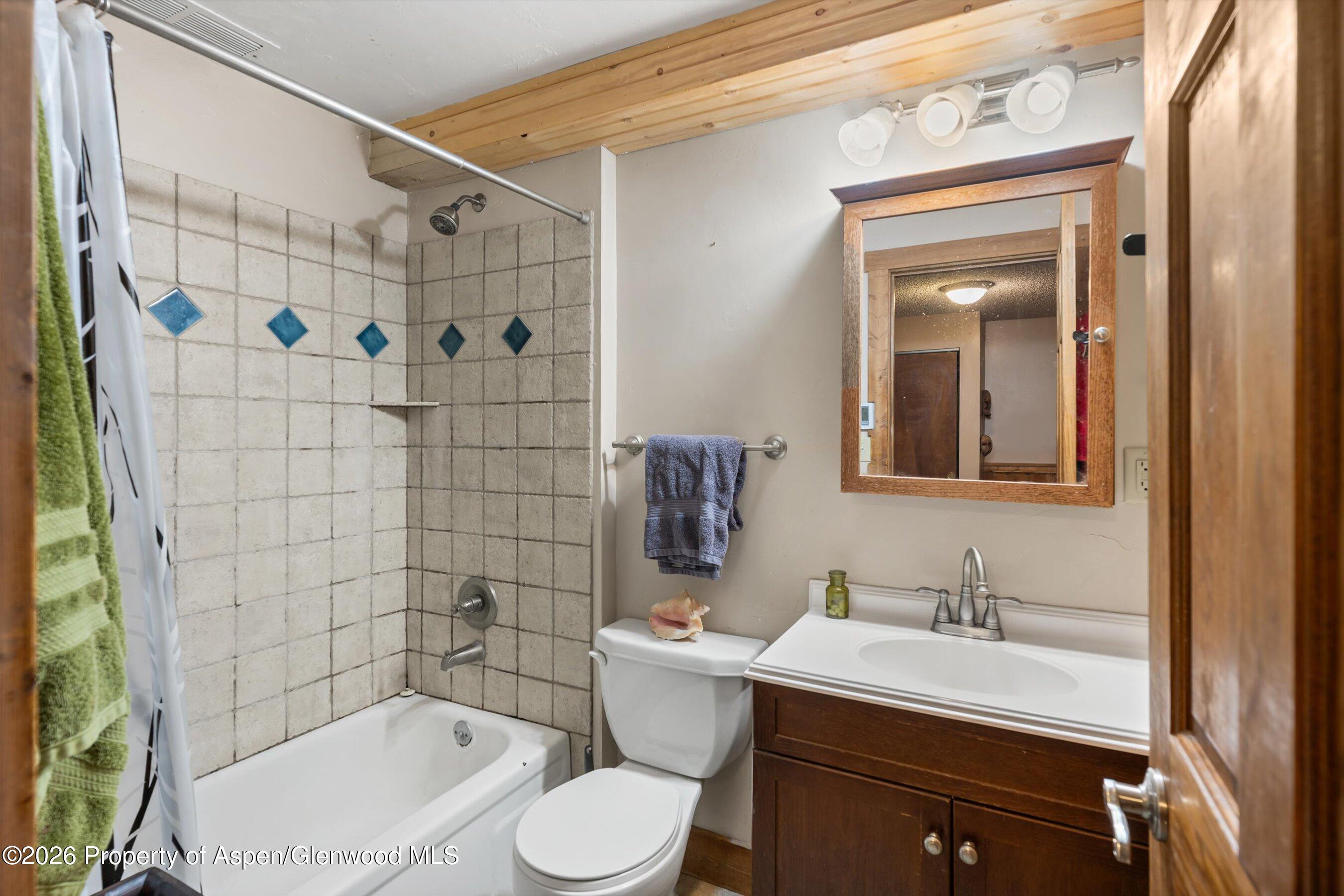 1603 Defiance Drive Carbondale, CO 81623 - Photo 14 of 26 22-1603DefianceDr_26011422