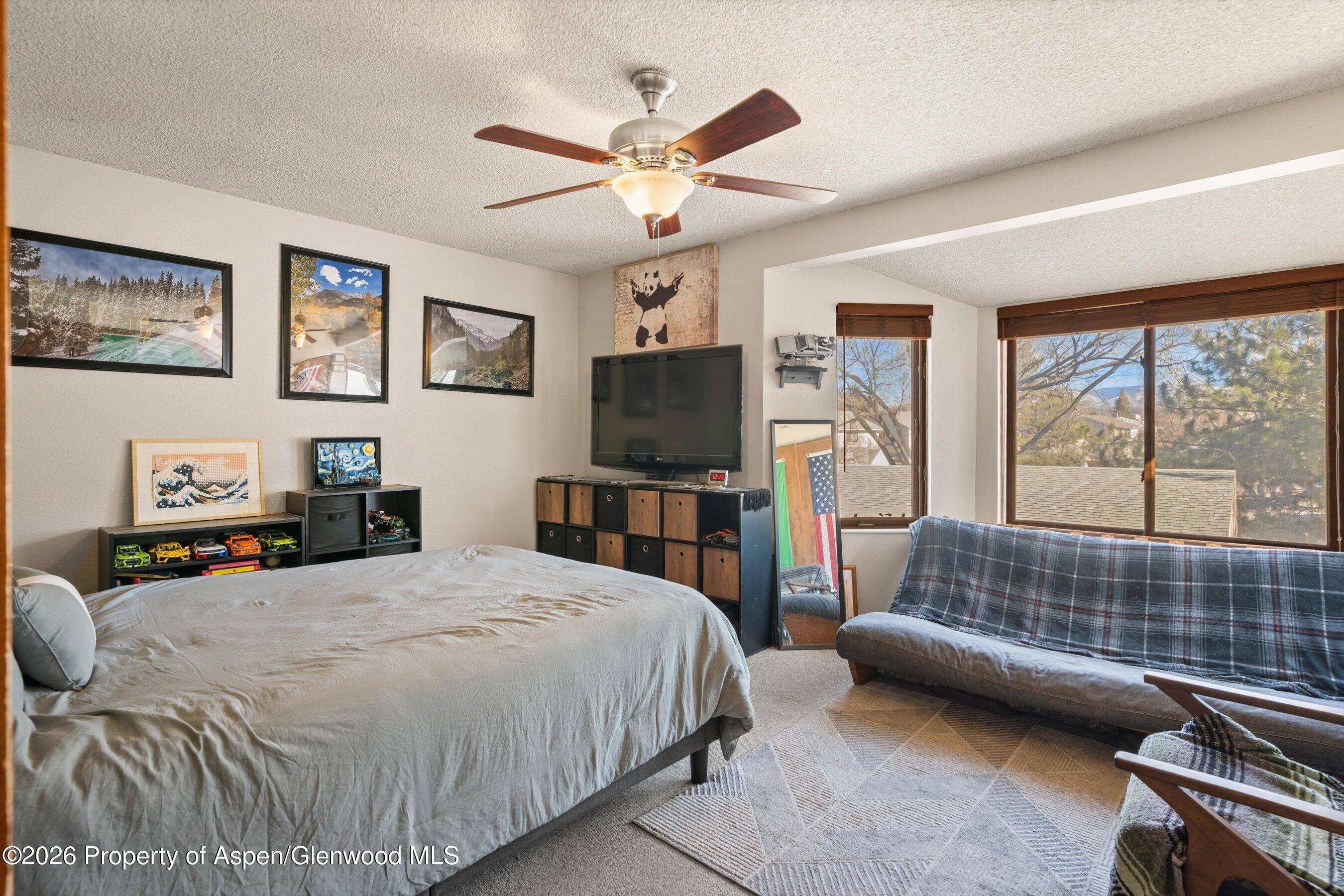 1603 Defiance Drive Carbondale, CO 81623 - Photo 10 of 26 18-1603DefianceDr_26011418