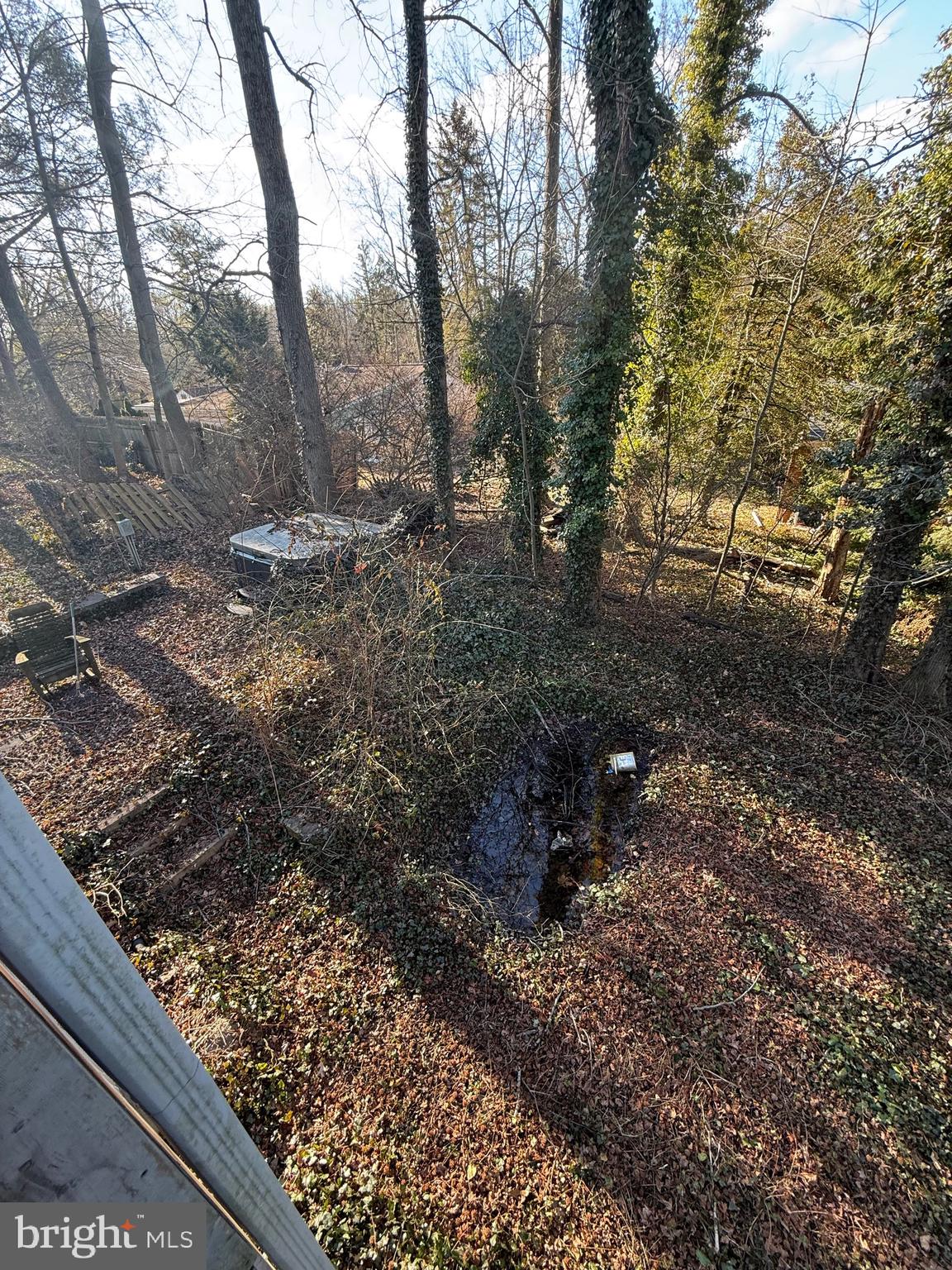 1602 Harvey Road Wilmington, DE 19810 - Photo 29 of 34 a view of a forest with trees