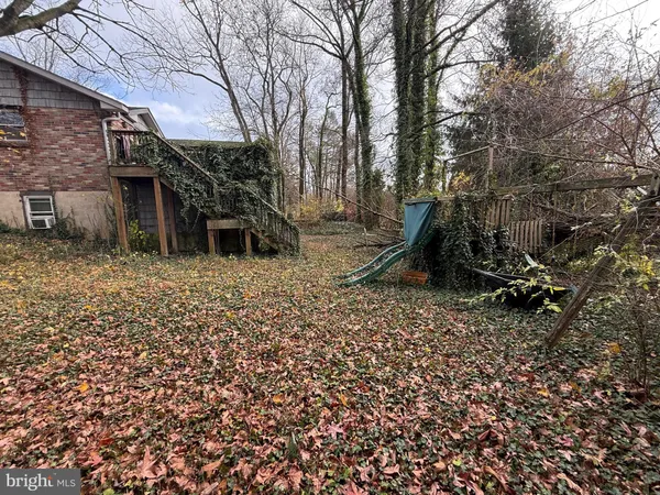 a view of a outdoor space with a tree
