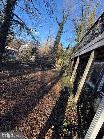 a view of a yard with plants and trees