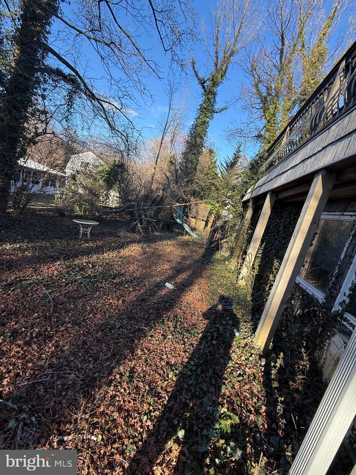 1602 Harvey Road Wilmington, DE 19810 - Photo 9 of 34 a view of a yard with plants and trees