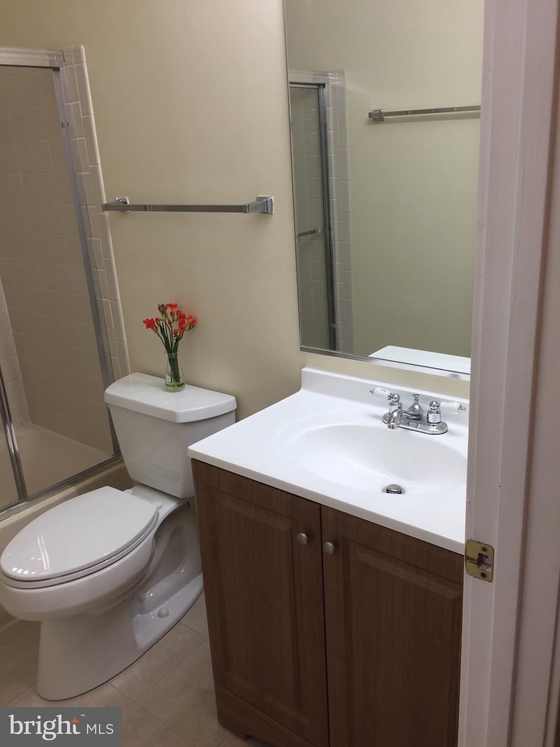 3475 Hewitt Avenue, Unit 101 Silver Spring, MD 20906 - Photo 19 of 30 Second Bath