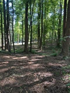 46 Davis Road Hiram, GA 30141 - Photo 5 of 17 a view of a yard with trees