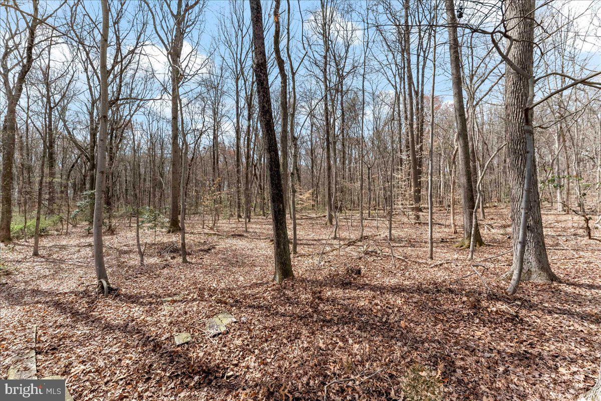 165 Woodall Road Perryville, MD 21903 - Photo 3 of 8 Gallery Image 3