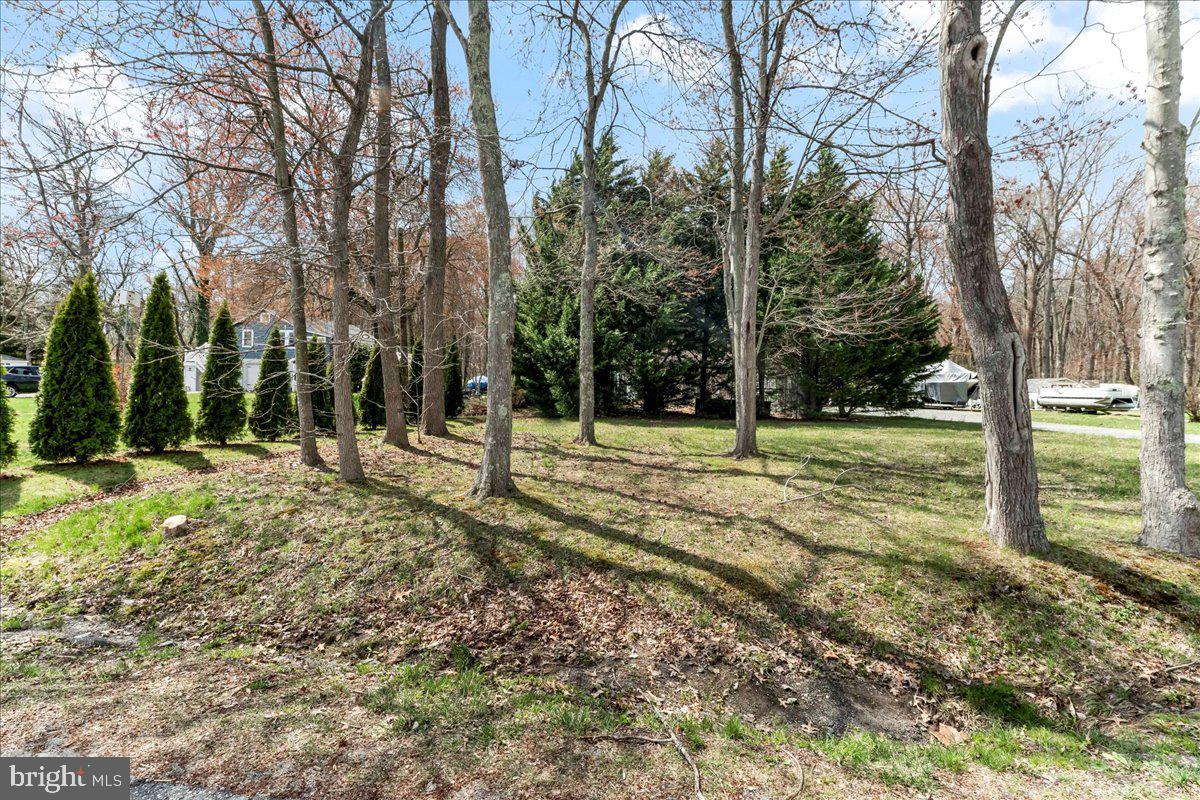 165 Woodall Road Perryville, MD 21903 - Photo 6 of 8 Where the property ties into the road.