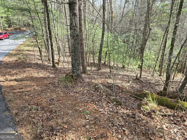 $25,000 | 13 L Sautee Trail, Sautee Nacoochee, GA 30571