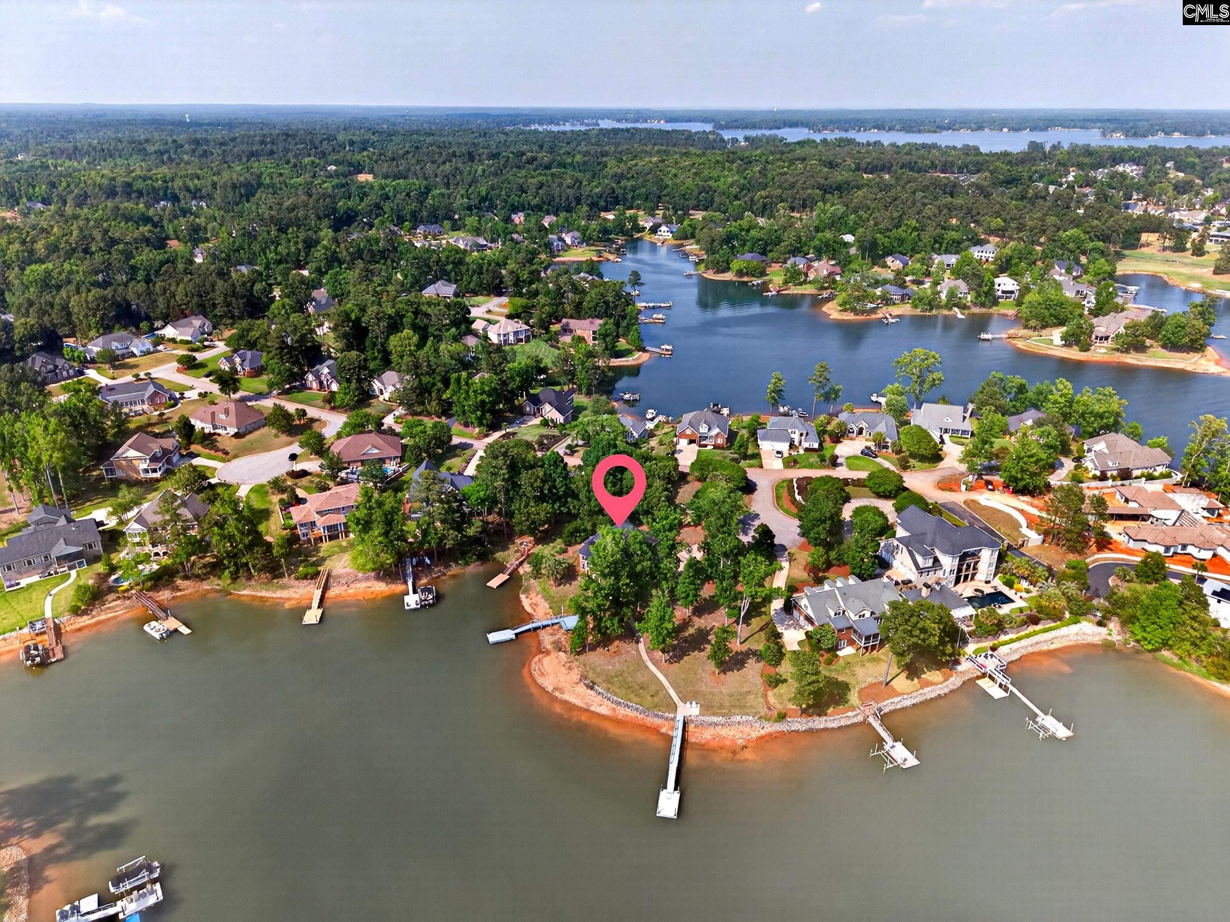 104 Turtle Pointe Court Chapin, SC 29036 - Photo 3 of 50