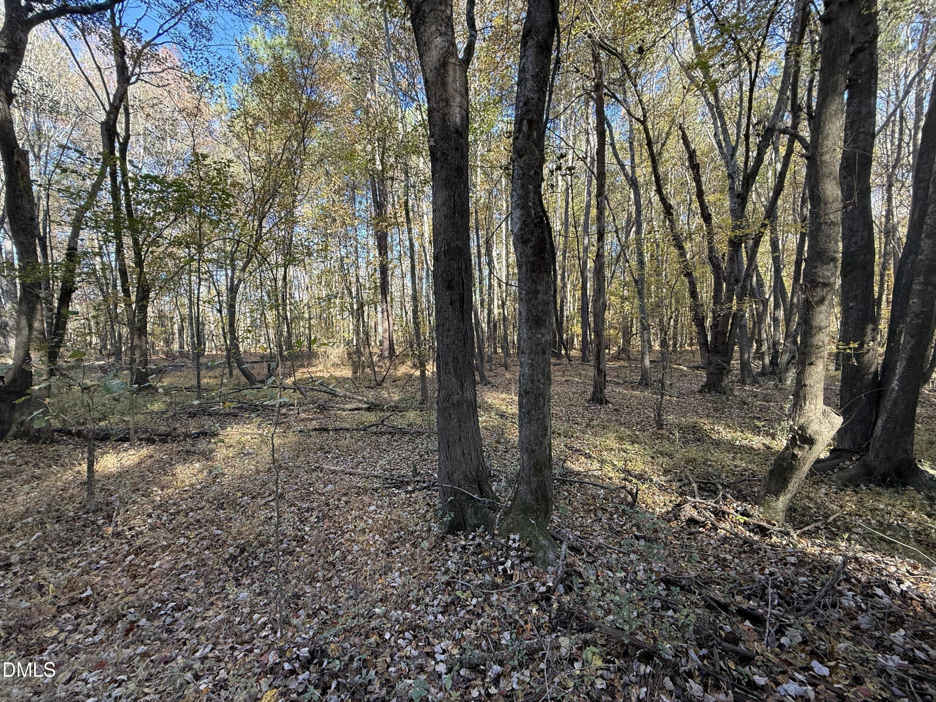 494 Bunn Elementary School Road Bunn, NC 27508 - Photo 14 of 20 IMG_5291