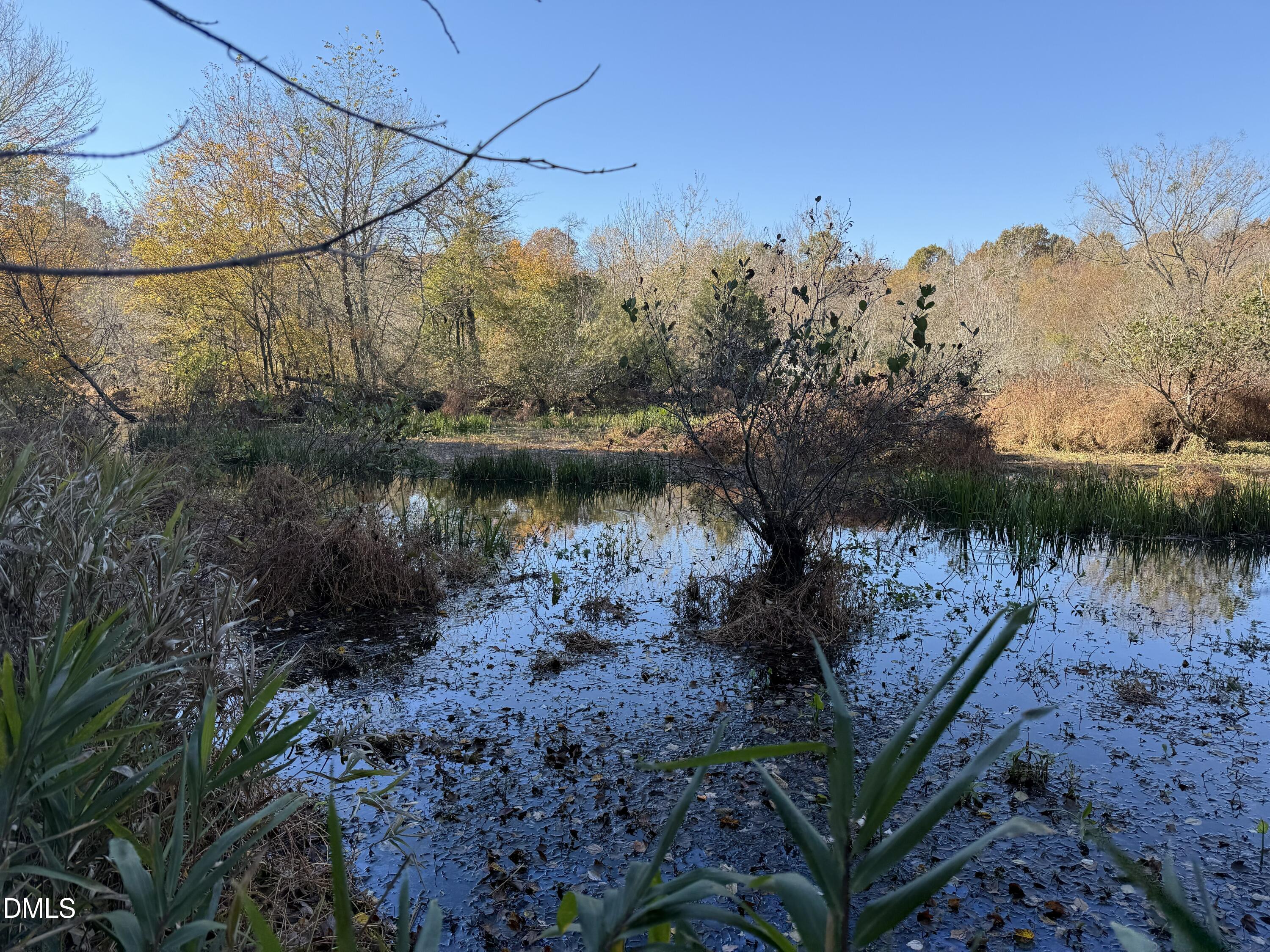 494 Bunn Elementary School Road Bunn, NC 27508 - Photo 16 of 20 IMG_5292
