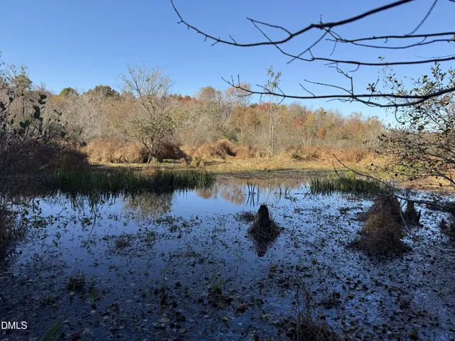 a view of a lake with a mountain