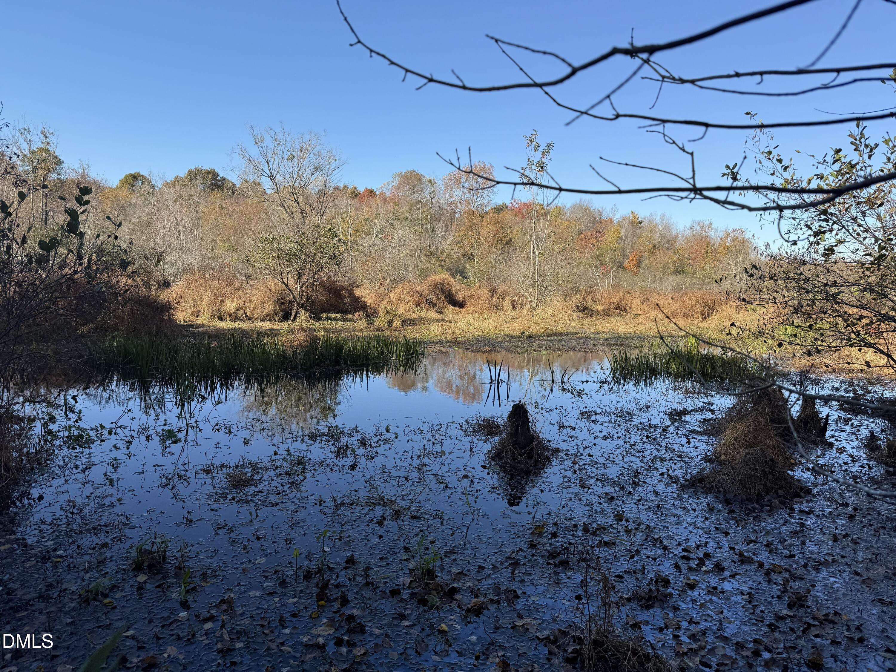 494 Bunn Elementary School Road Bunn, NC 27508 - Photo 17 of 20 IMG_5293
