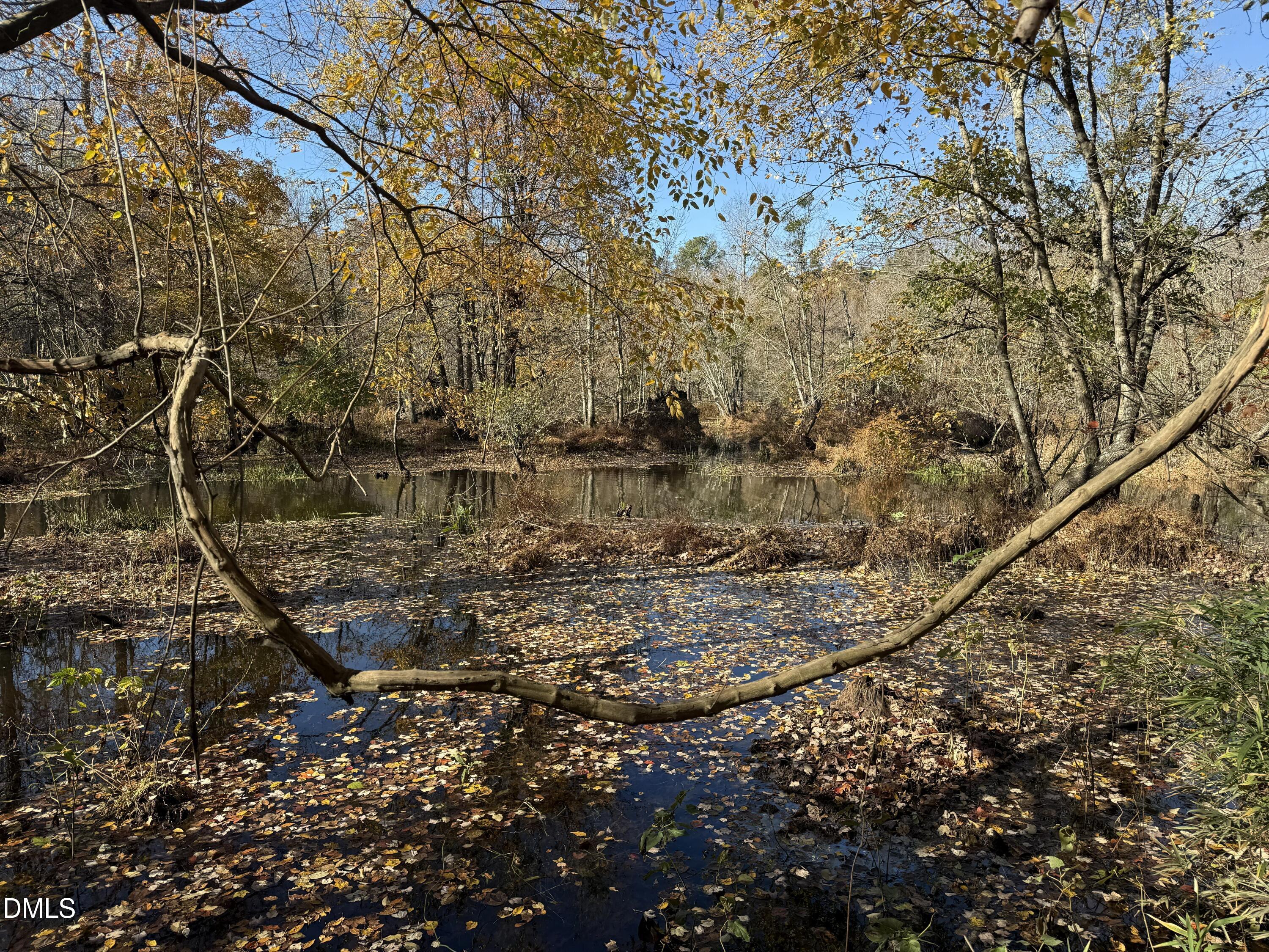 494 Bunn Elementary School Road Bunn, NC 27508 - Photo 18 of 20 IMG_5296