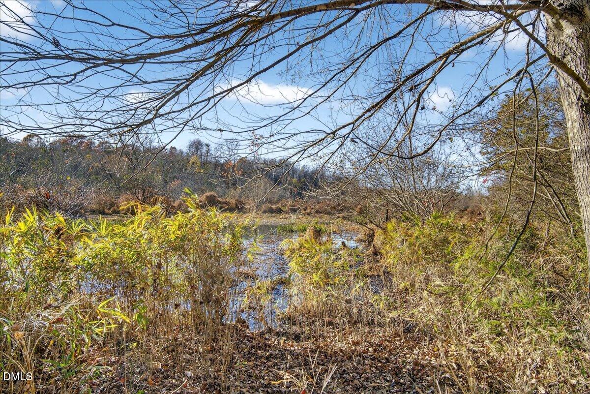 494 Bunn Elementary School Road Bunn, NC 27508 - Photo 19 of 20 08-DSC7384
