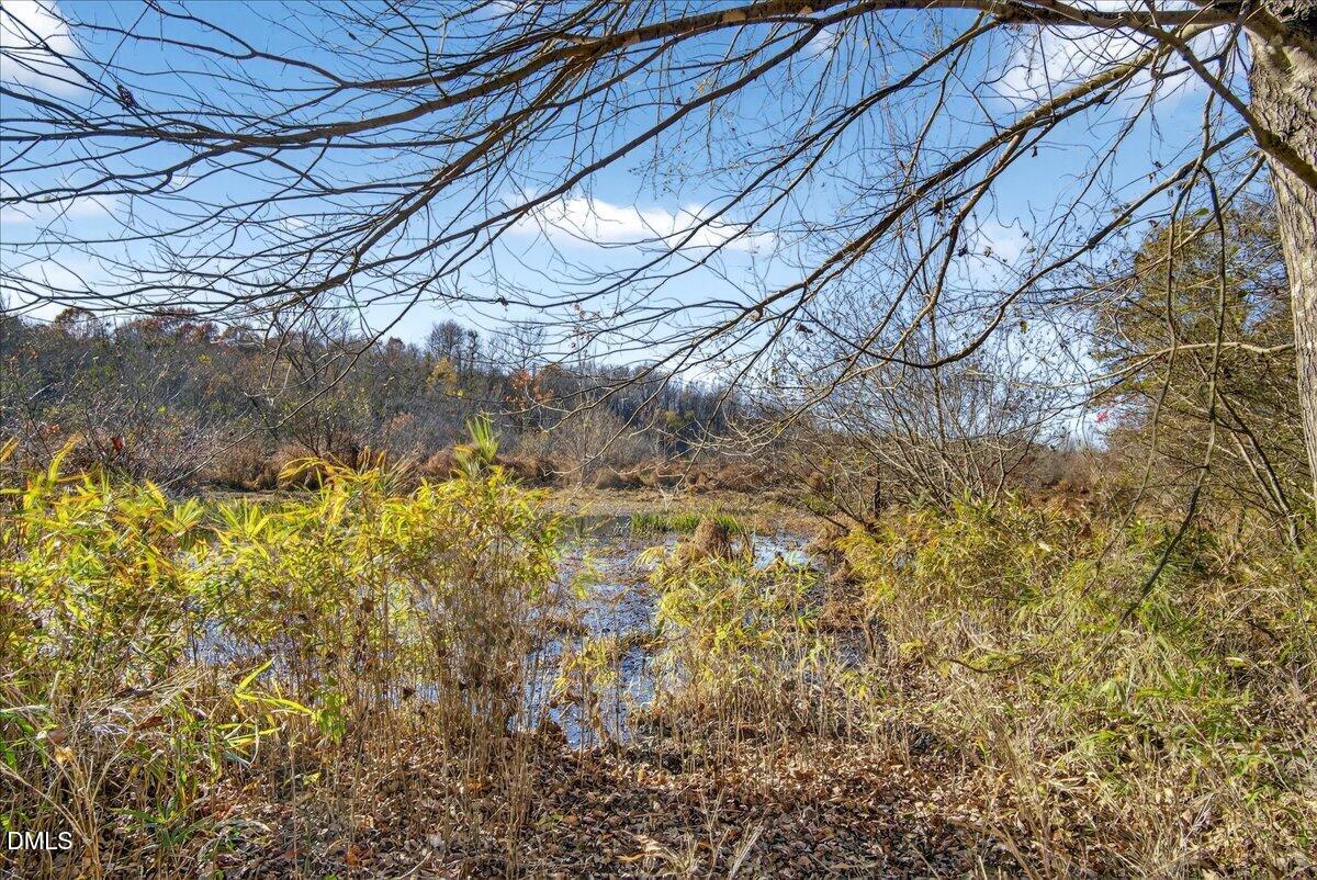 494 Bunn Elementary School Road Bunn, NC 27508 - Photo 20 of 20 07-DSC7380