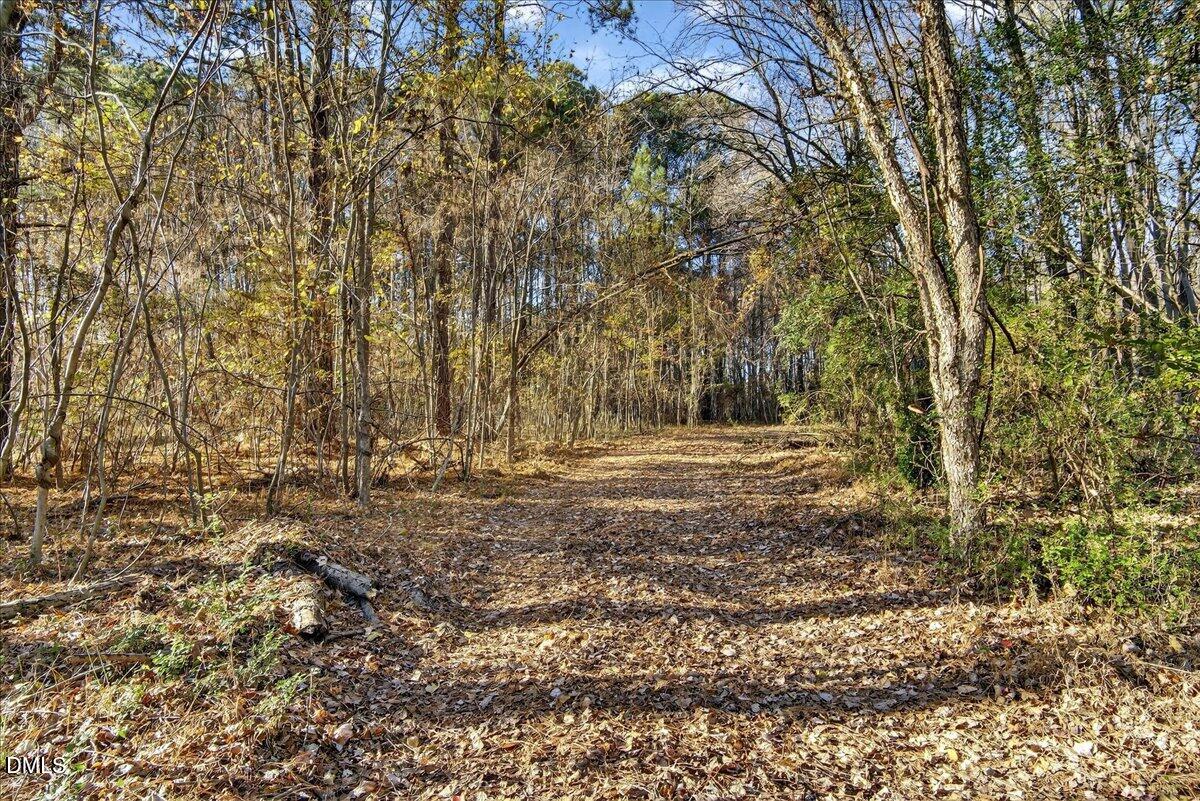 494 Bunn Elementary School Road Bunn, NC 27508 - Photo 7 of 20 09-DSC7358