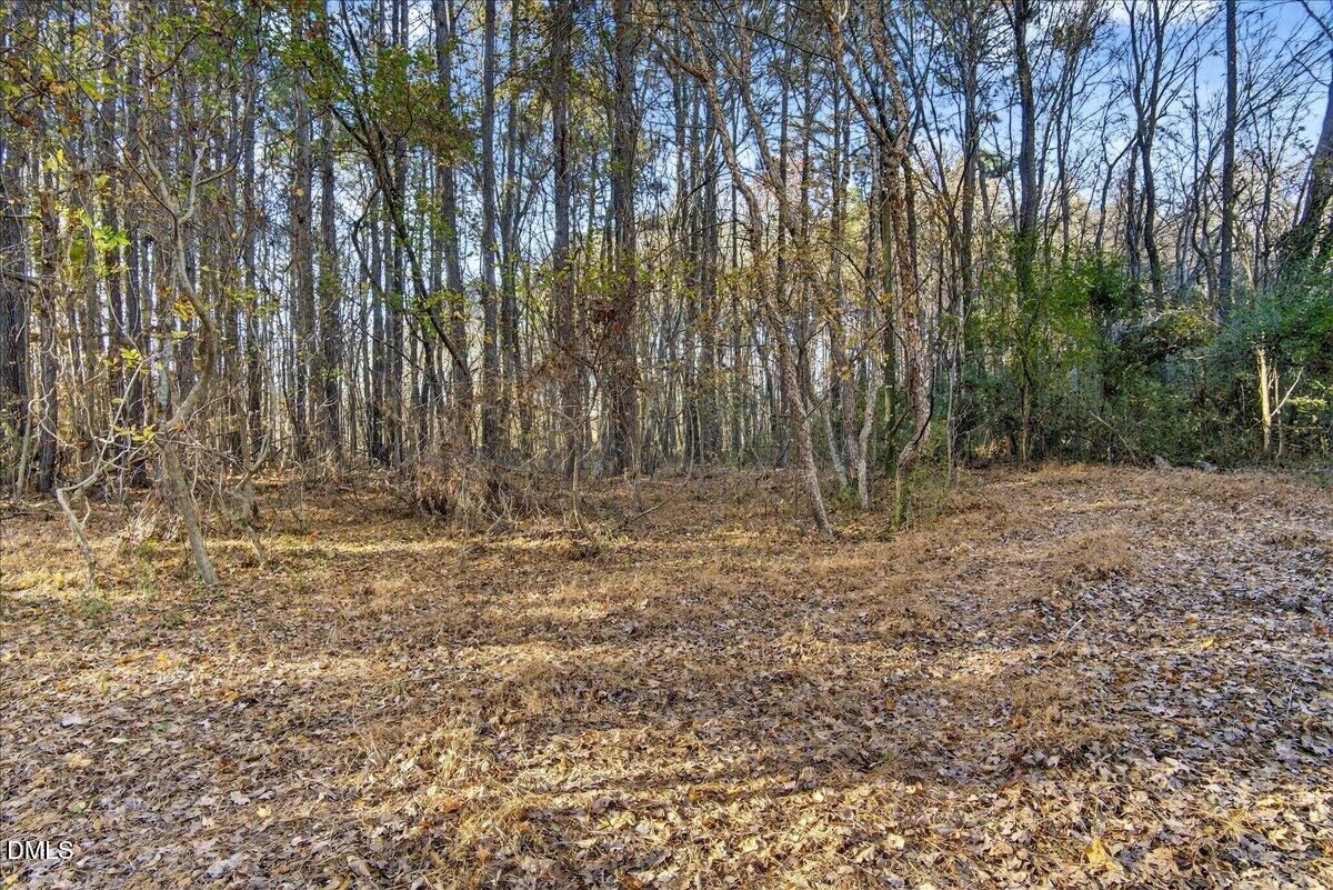 494 Bunn Elementary School Road Bunn, NC 27508 - Photo 8 of 20 10-DSC7362