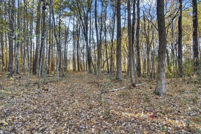 a view of outdoor space with green space