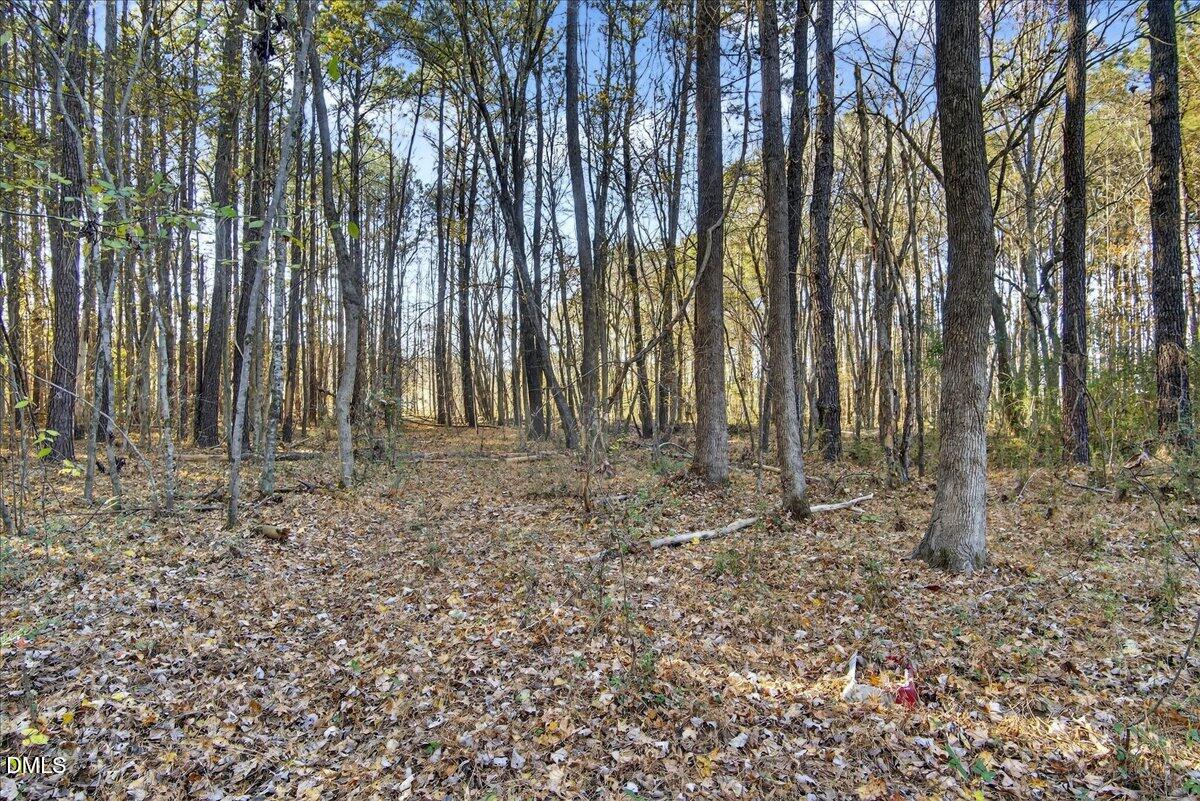 494 Bunn Elementary School Road Bunn, NC 27508 - Photo 9 of 20 11-DSC7367