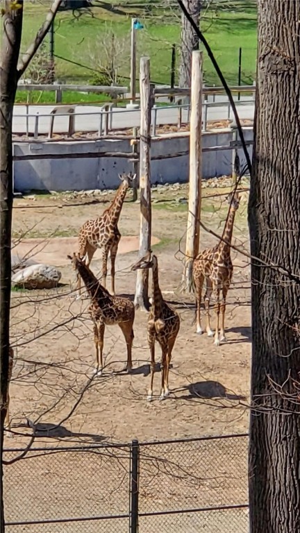 313 Winona Boulevard Irondequoit, NY 14617 - Photo 46 of 50