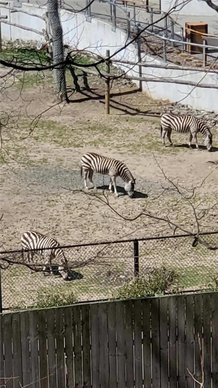 313 Winona Boulevard Irondequoit, NY 14617 - Photo 47 of 50