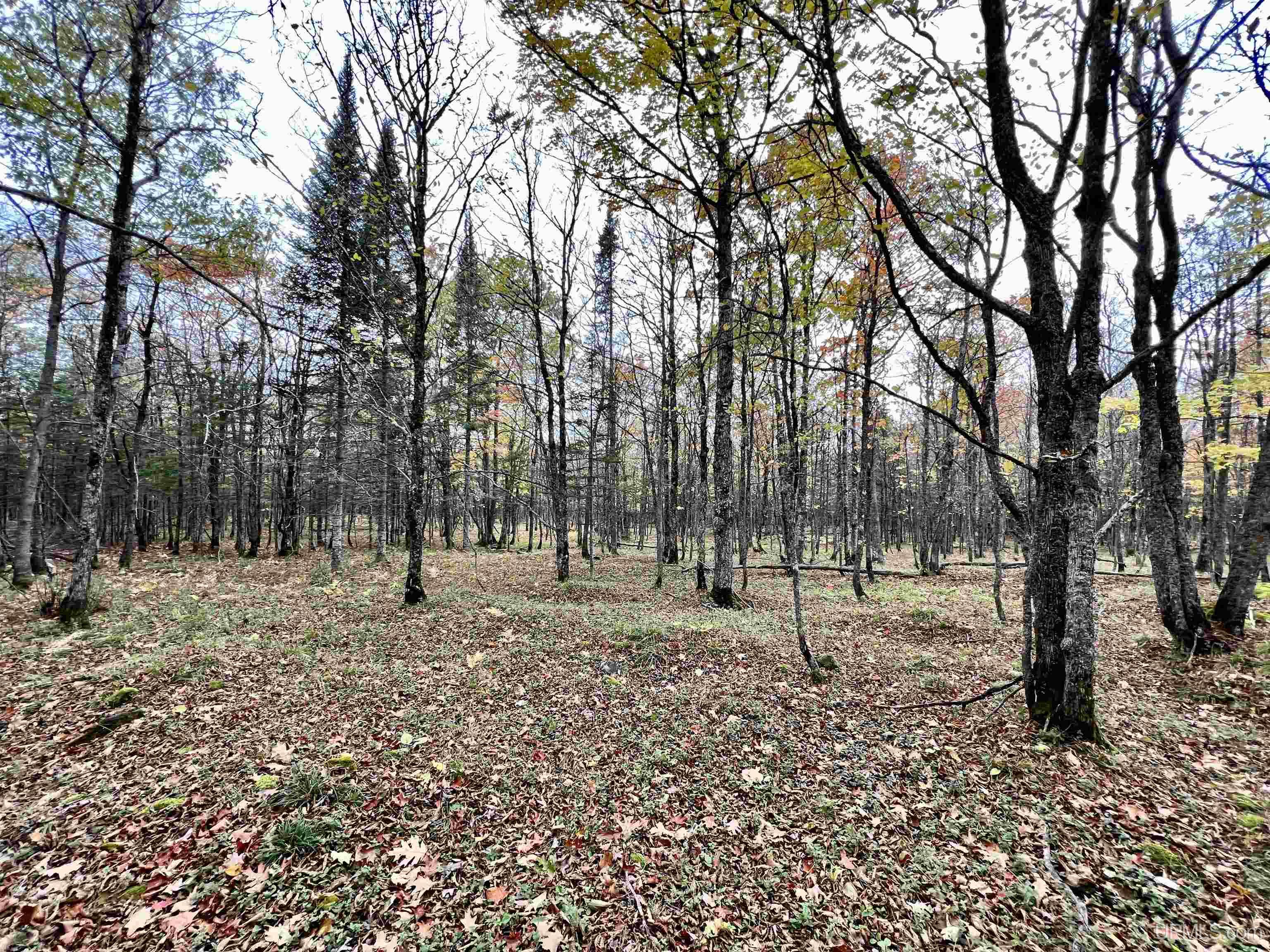 1021 Sedar Hill(parcel D) Road, Unit PARCEL D) Calumet, MI 49913 - Photo 21 of 40