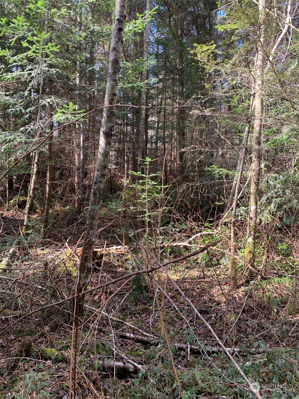 0 Volunteer Road Oak Harbor, WA 98277 - Photo 3 of 6 a view of house with green space