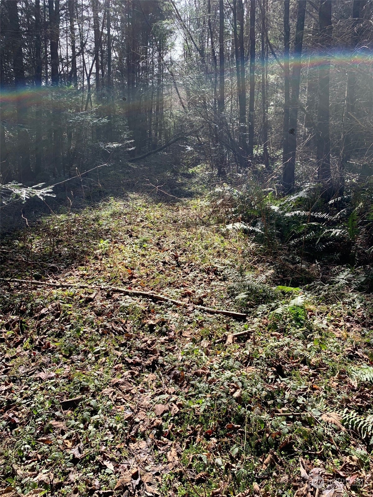 0 Volunteer Road Oak Harbor, WA 98277 - Photo 6 of 6 a view of a lake view