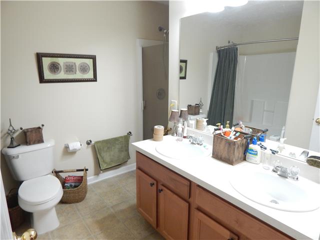 3960 Stephens Ridge Way Antioch, TN 37013 - Photo 11 of 20 Master bath features garden tub with separate shower and double vanity