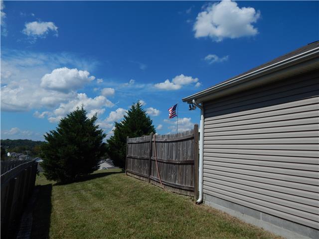 3960 Stephens Ridge Way Antioch, TN 37013 - Photo 3 of 20 Sideyard left with grassy area and wood partial fence for added privacy.