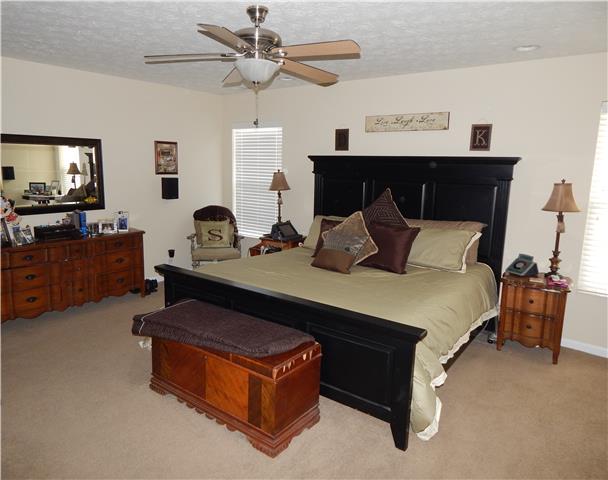 3960 Stephens Ridge Way Antioch, TN 37013 - Photo 10 of 20 Spacious carpeted master bedroom, lighted ceiling fan, walk-in closet with extra shelving, and windows provide scenic views.