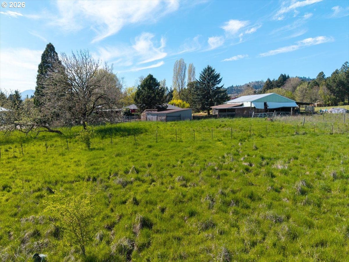 2035 Primrose Loop Philomath, OR 97370 - Photo 19 of 48 a view of a garden with plants and large trees