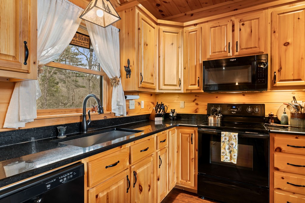 197 Cashes Valley Cherry Log, GA 30522 - Photo 17 of 67 a kitchen with stainless steel appliances granite countertop a stove a sink and a microwave