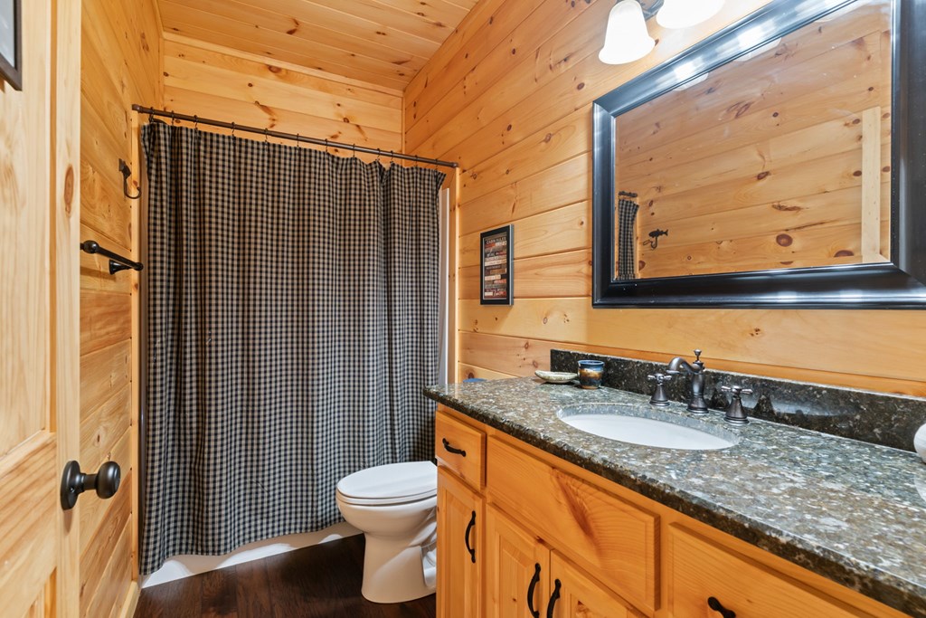 197 Cashes Valley Cherry Log, GA 30522 - Photo 24 of 67 a bathroom with a granite countertop sink toilet and shower
