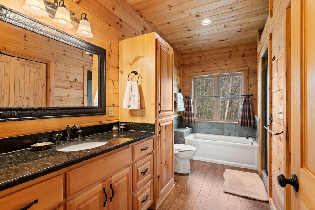 197 Cashes Valley Cherry Log, GA 30522 - Photo 30 of 67 a bathroom with a granite countertop sink toilet and shower
