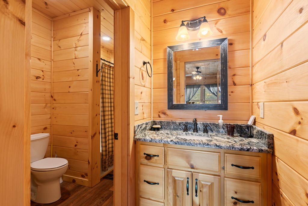 197 Cashes Valley Cherry Log, GA 30522 - Photo 38 of 67 a bathroom with a granite countertop toilet sink and mirror