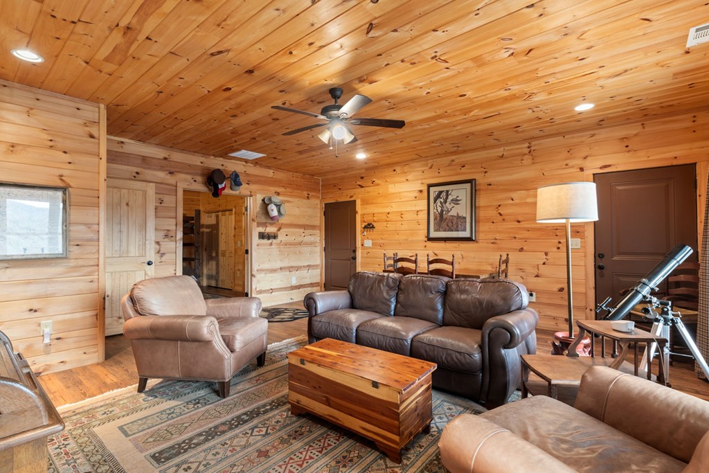 197 Cashes Valley Cherry Log, GA 30522 - Photo 42 of 67 a living room with furniture a ceiling fan and a rug