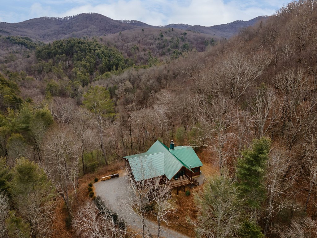 197 Cashes Valley Cherry Log, GA 30522 - Photo 57 of 67 a view of a lush green hillside and a houses