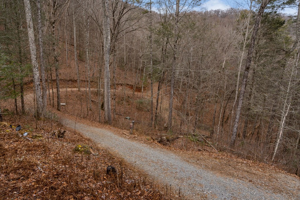 197 Cashes Valley Cherry Log, GA 30522 - Photo 67 of 67