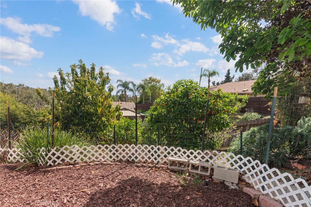 1901 Laurel Road Oceanside, CA 92054 - Photo 43 of 54 Backyard