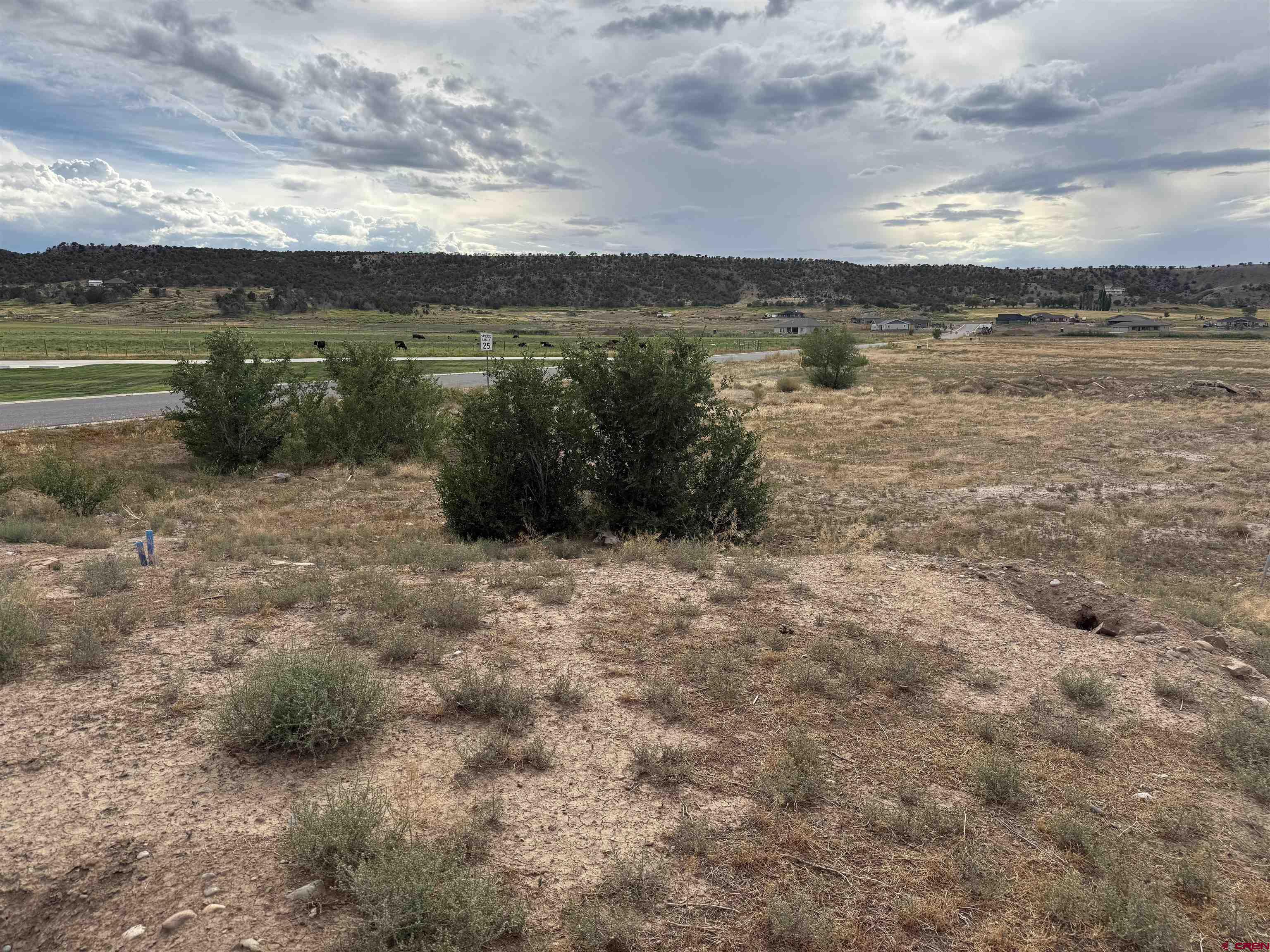 68671 Vernal Road Montrose, CO 81403 - Photo 6 of 13 a view of a lake with a yard