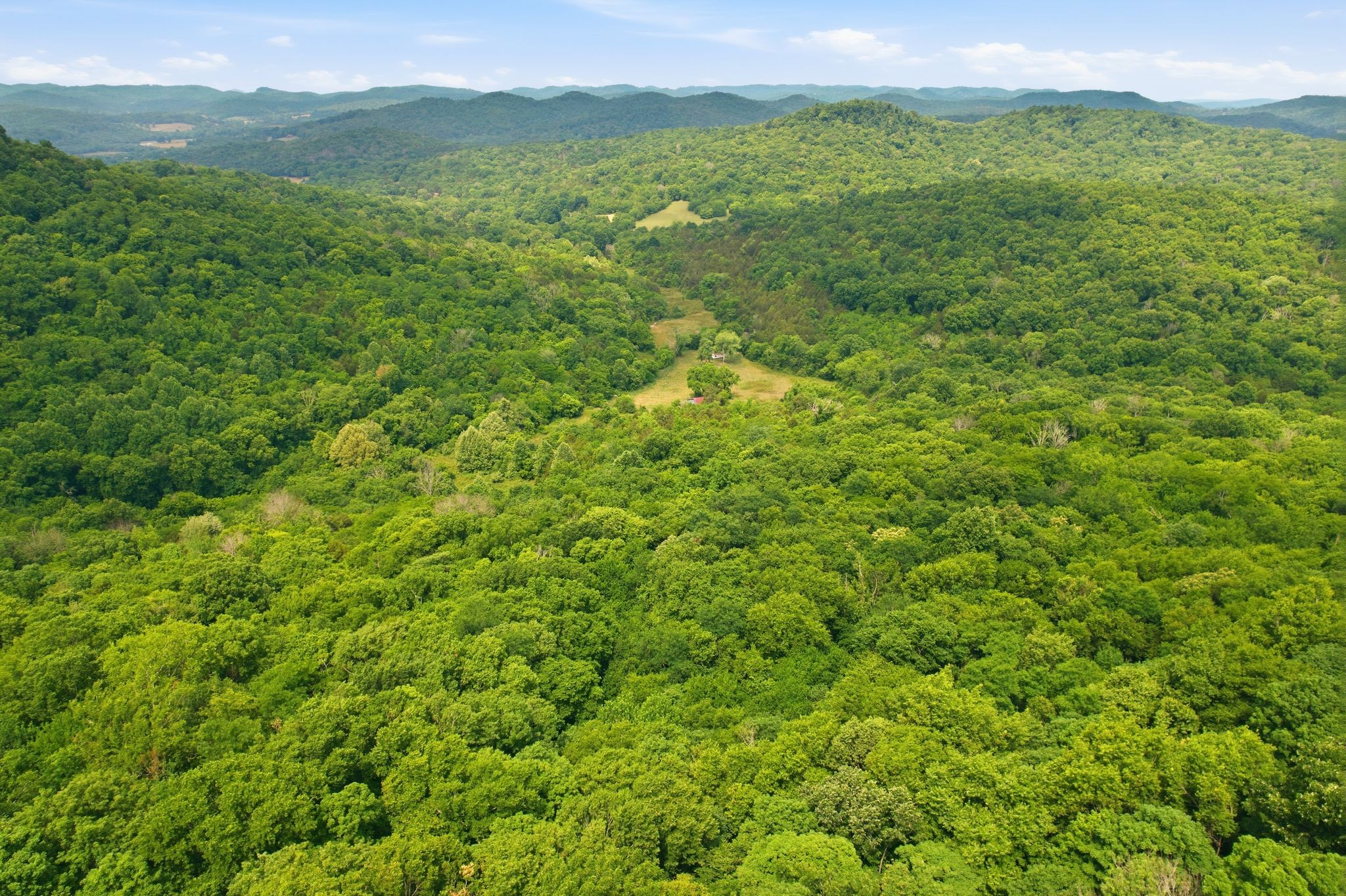 1780 Chumley Hollow Road Watertown, TN 37184 - Photo 12 of 14 a view of a lush green hillside and a houses