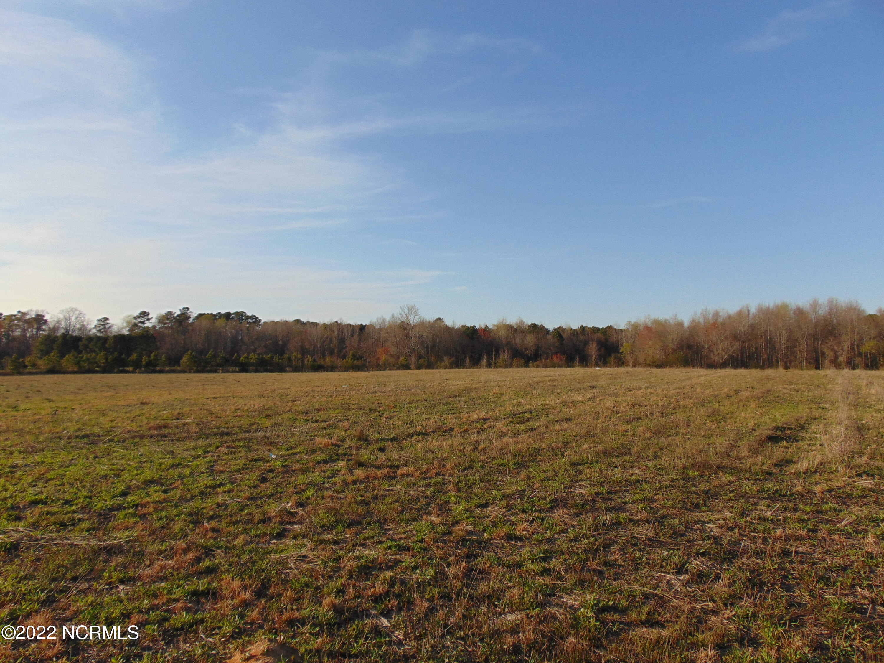 7048 Wiggins Mill Road Lucama, NC 27851 - Photo 11 of 23 DSC02117