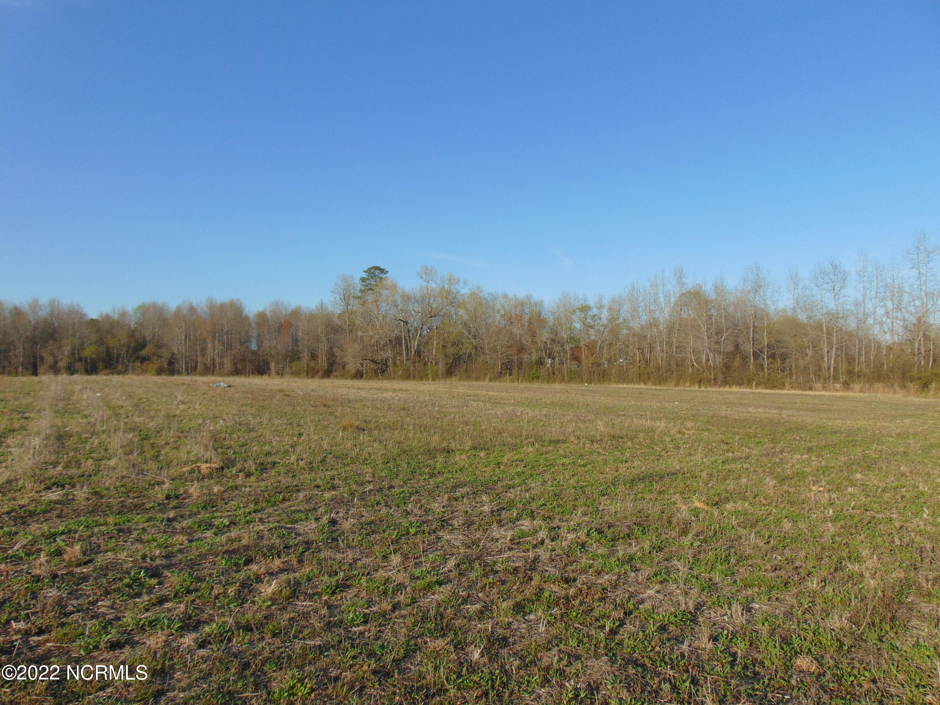 7048 Wiggins Mill Road Lucama, NC 27851 - Photo 12 of 23 DSC02118